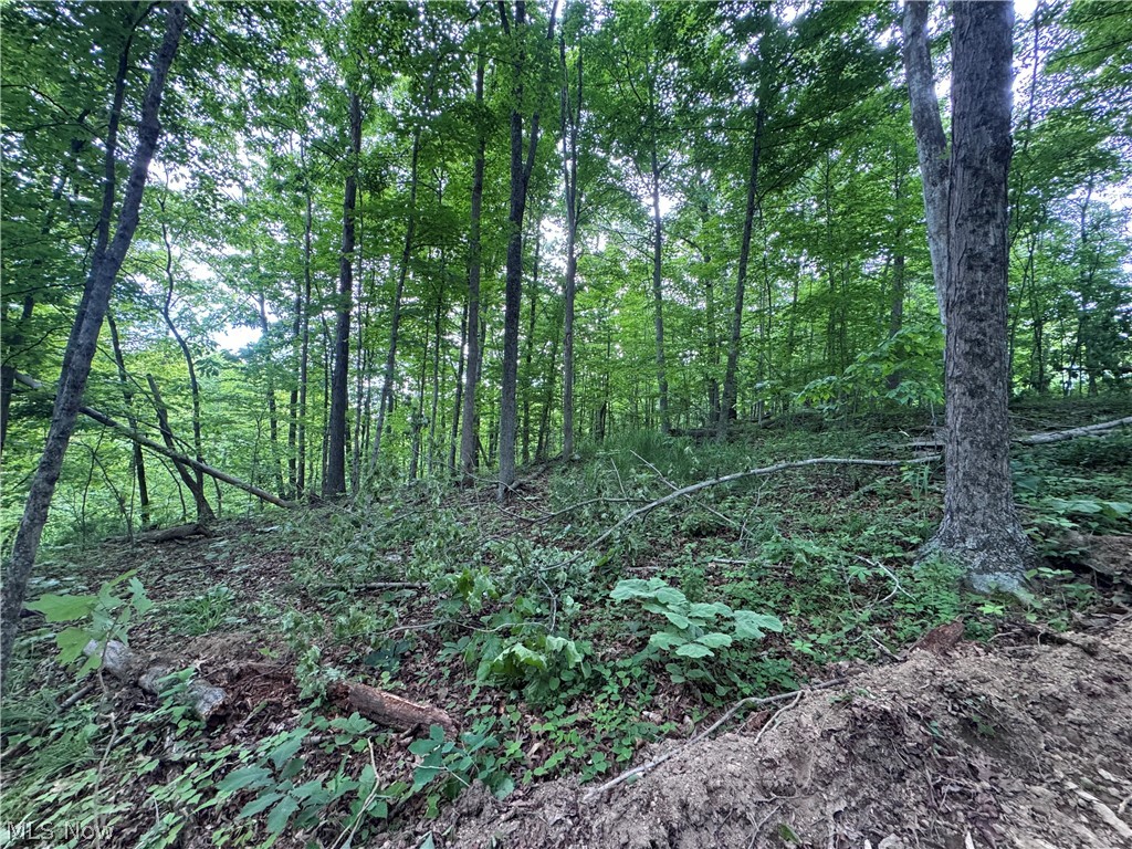 Hill Road, Unit 10 Waterford, OH 45786 - Photo 7 of 13