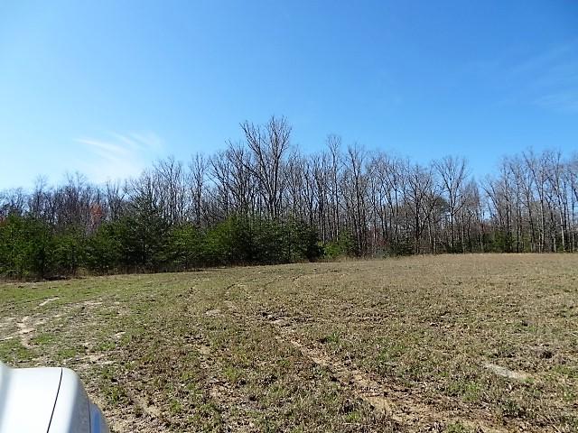 Peavine Road Crossville, TN 38555 - Photo 7 of 9 DSC07927