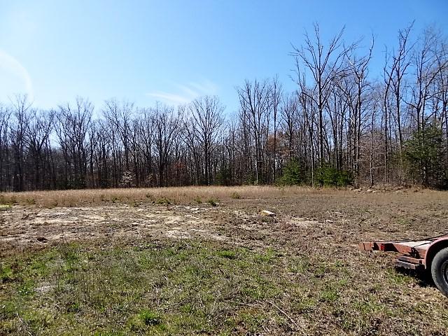Peavine Road Crossville, TN 38555 - Photo 8 of 9 DSC07935