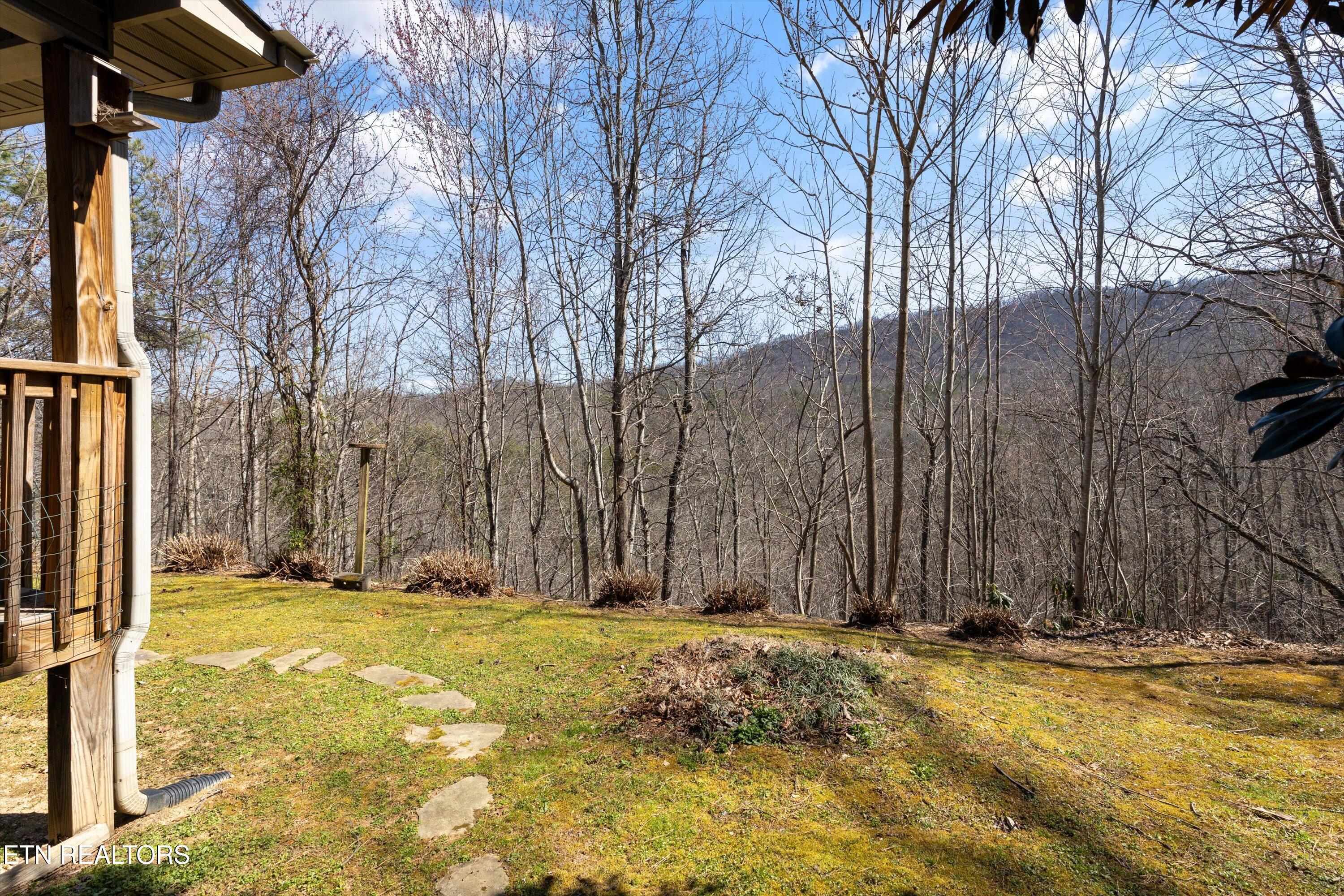 4442 Grindstone Ridge Road Pigeon Forge, TN 37863 - Photo 27 of 30 Mountain Views!