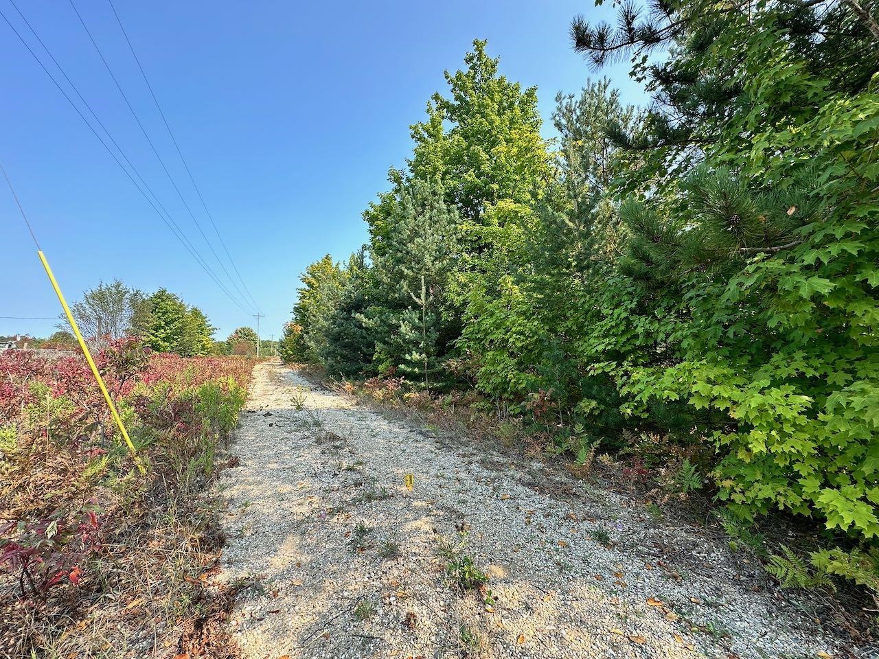 2519 Lee Derrer Road Mancelona, MI 49659 - Photo 6 of 42 Gallery Image 6