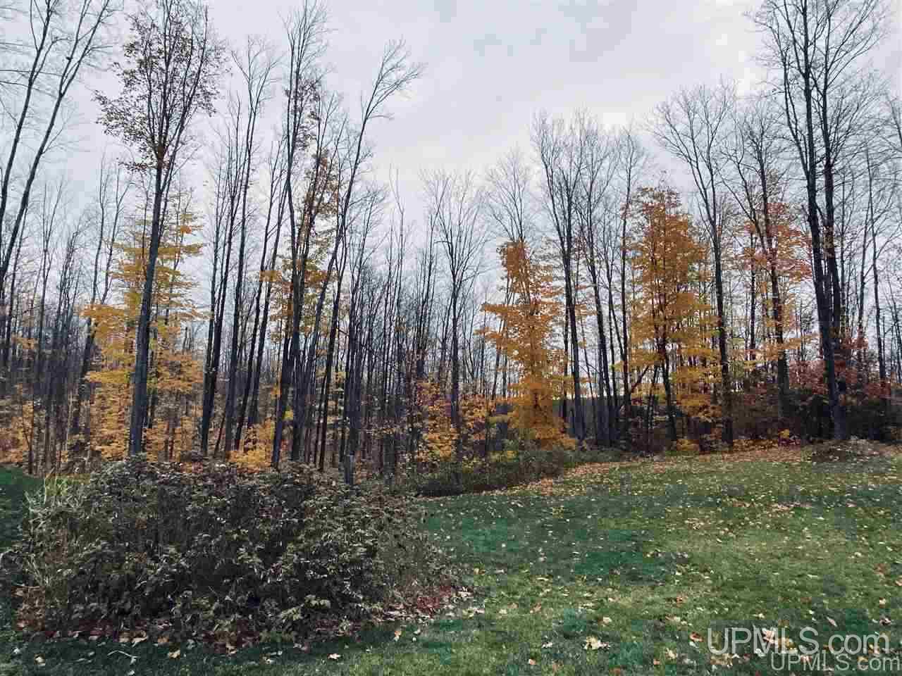 19608 Aldrich Road Chassell, MI 49916 - Photo 46 of 49 Gallery Image 46