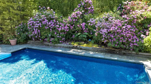 a view of yard with flowers and wooden floor
