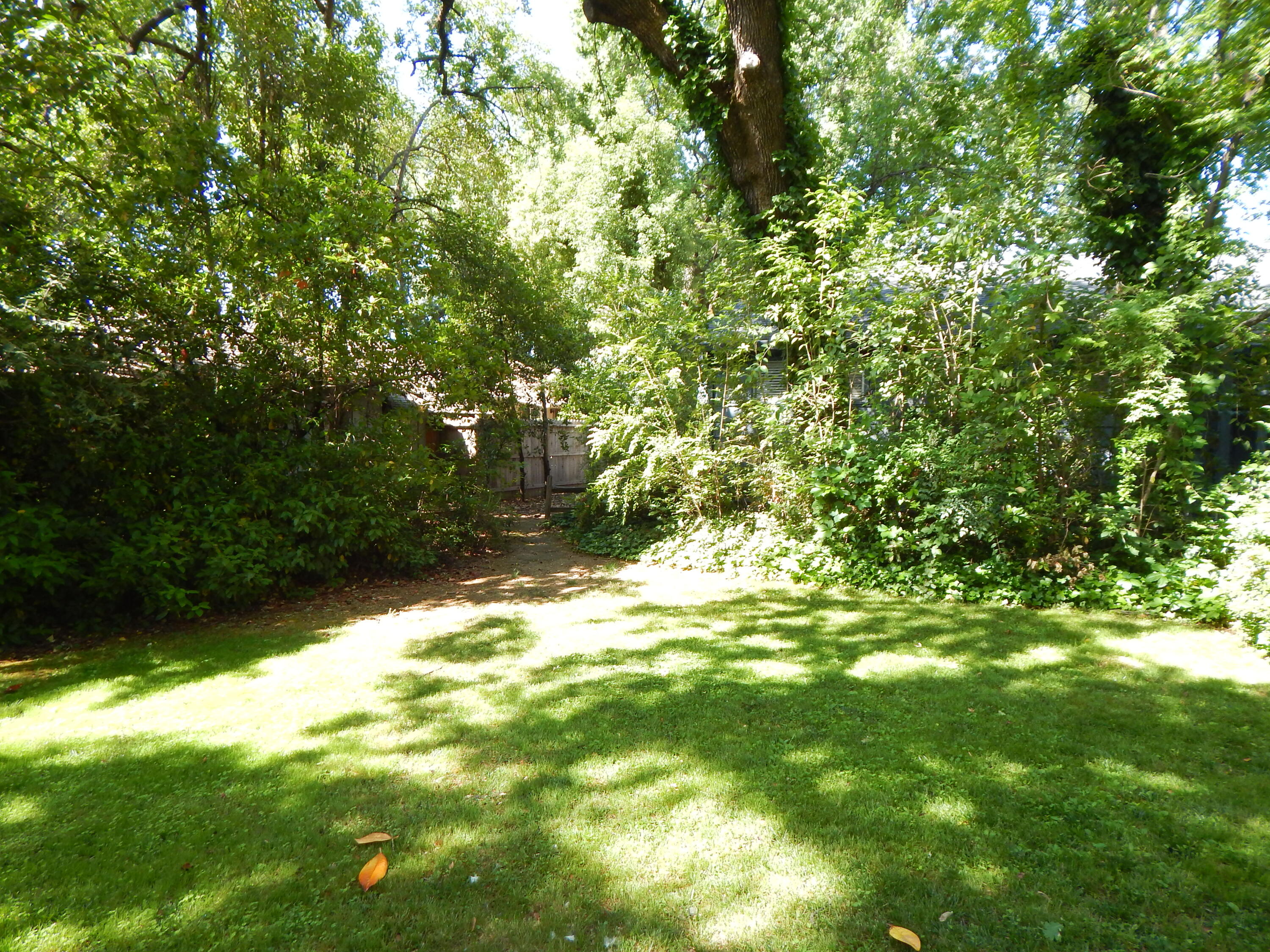 6460 Riverside Drive Redding, CA 96001 - Photo 3 of 81 DSCN3159