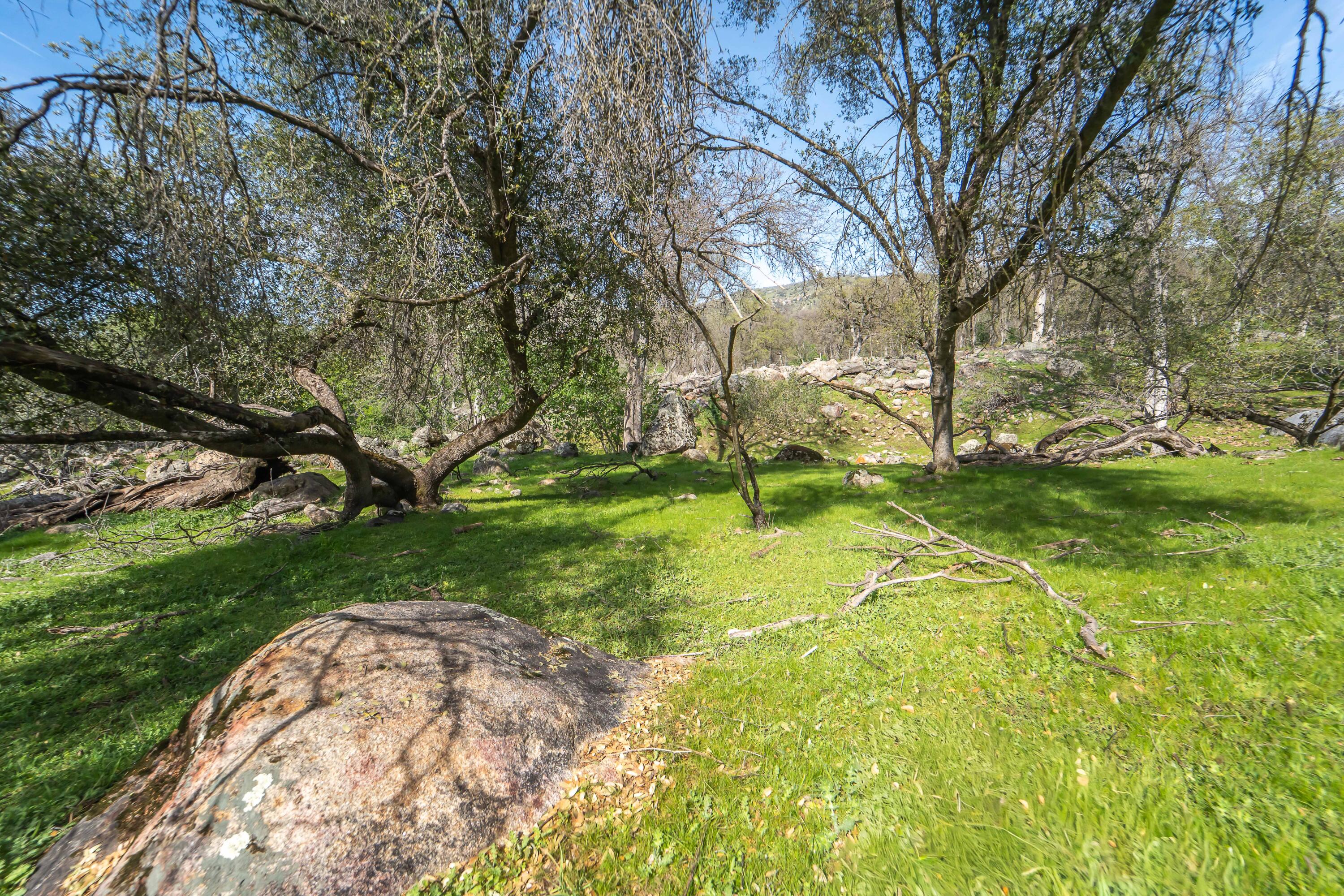 44294 Sequoia Oaks Drive Three Rivers, CA 93271 - Photo 104 of 118 -