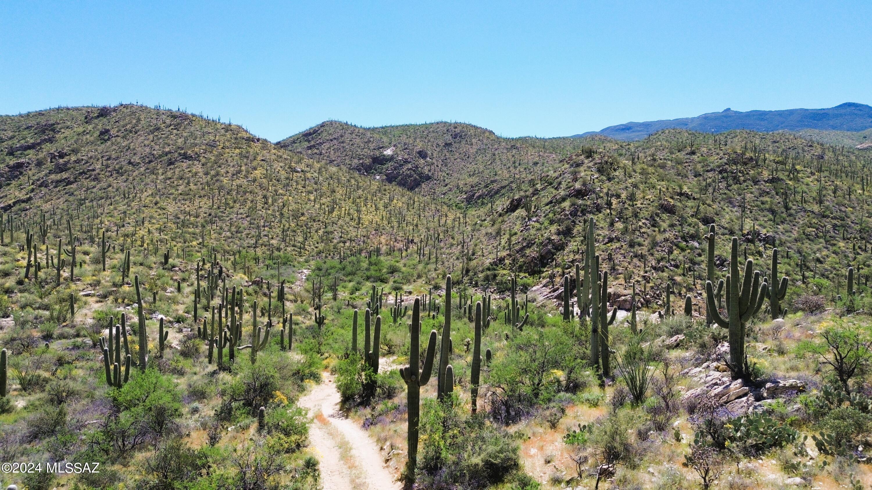 East Redington Road, Unit 13ACRES Tucson, AZ 85749 - Photo 2 of 48