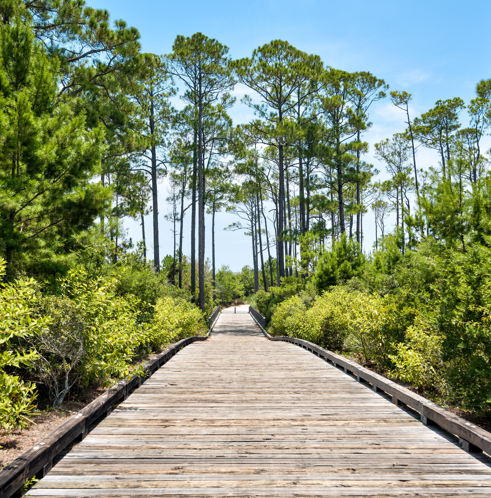 37 Compass Point Way South, Unit 108 Inlet Beach, FL 32461 - Photo 41 of 65 a sidewalk with trees in front of it