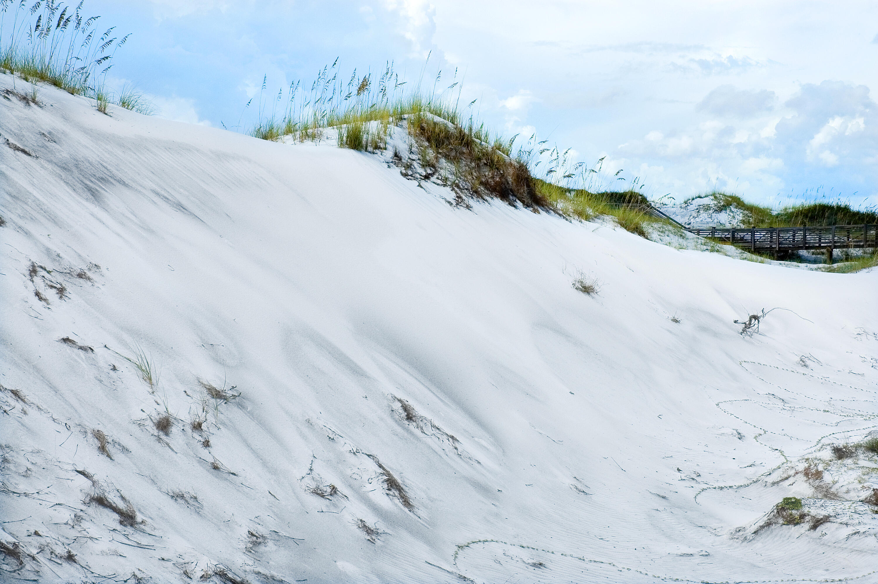 37 Compass Point Way South, Unit 108 Inlet Beach, FL 32461 - Photo 53 of 65 Watersound beach (4)