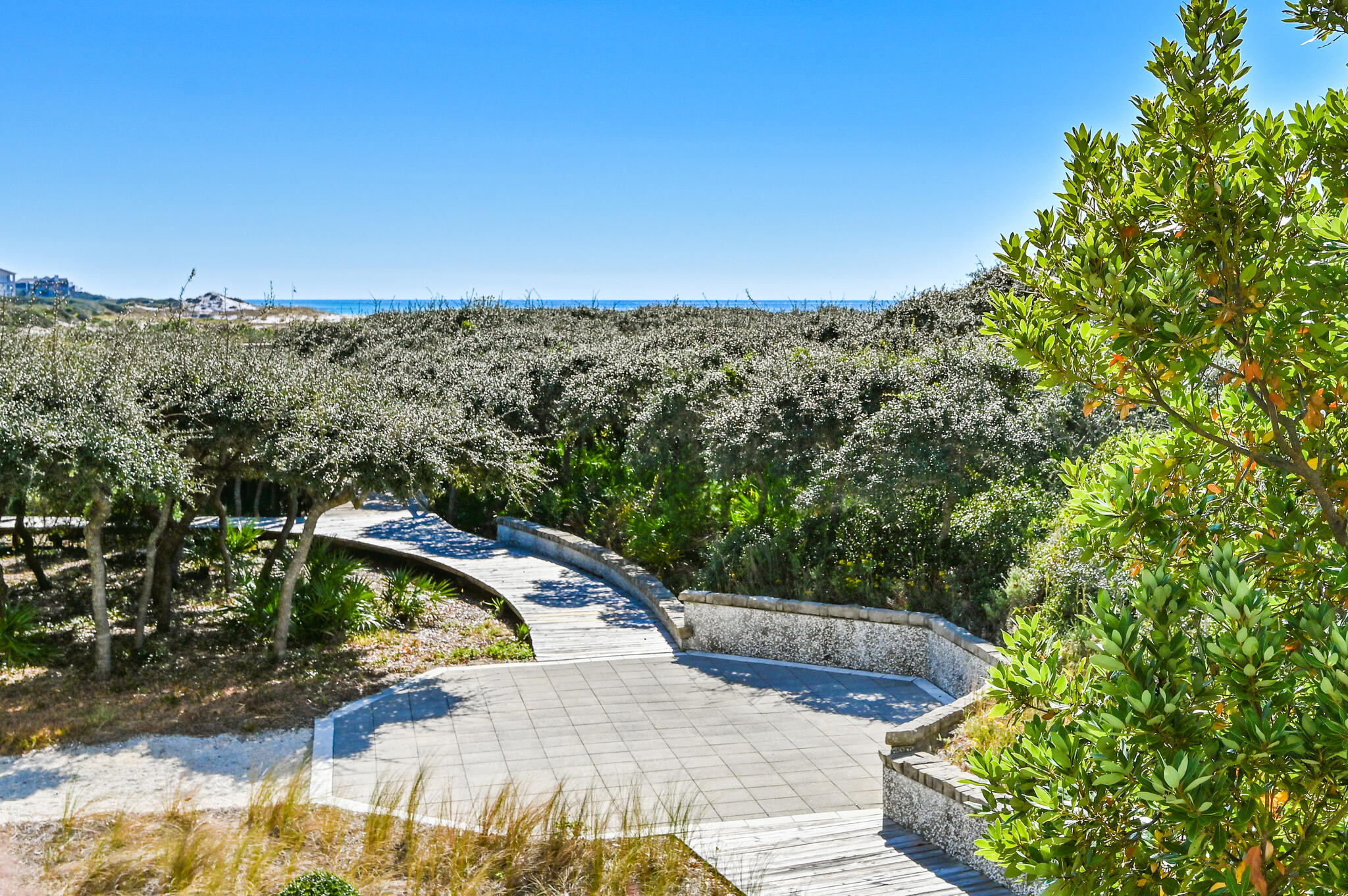 37 Compass Point Way South, Unit 108 Inlet Beach, FL 32461 - Photo 57 of 65 Dune Walk Over to the Beach