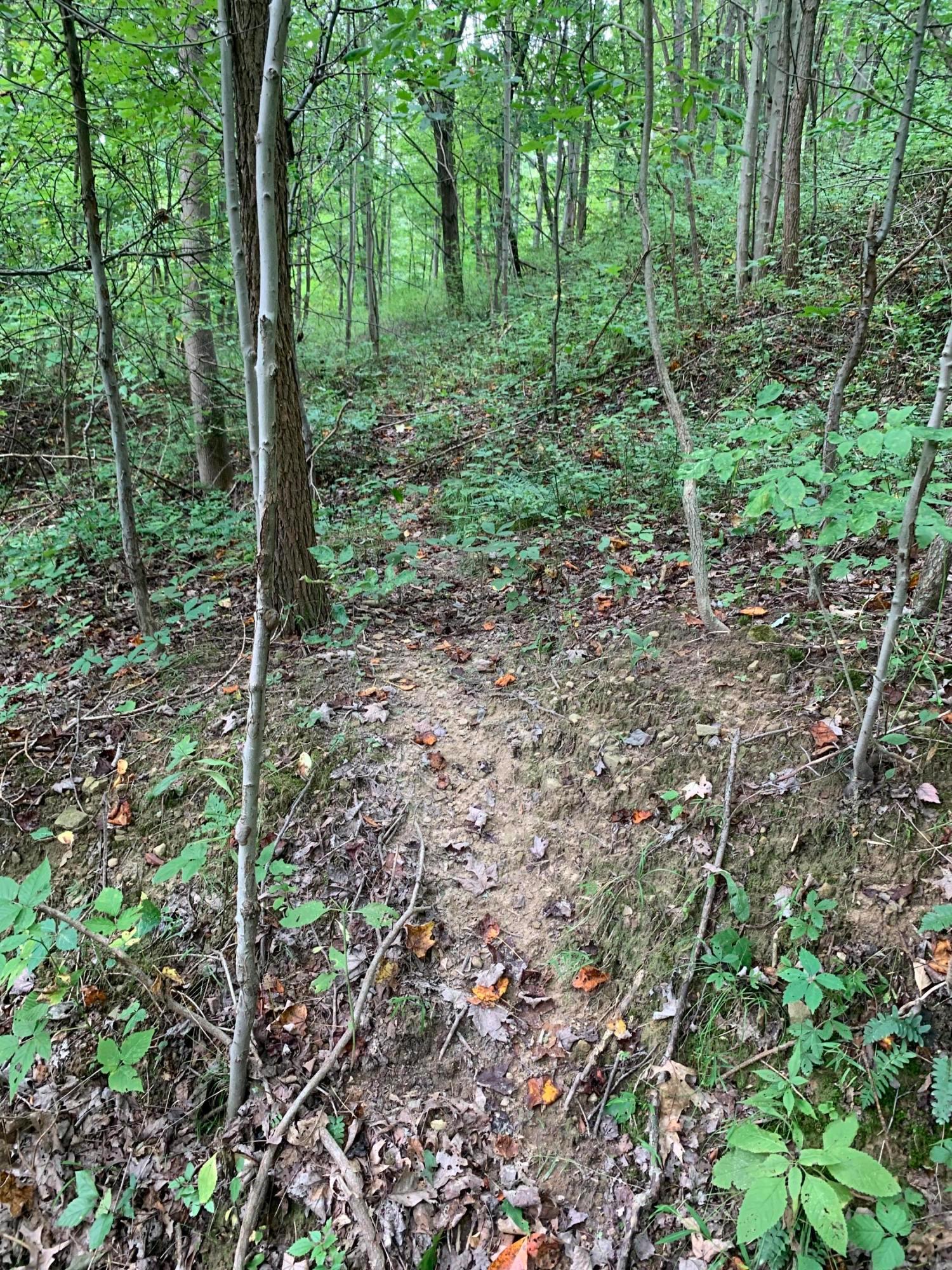 0 Cherry Run Road Northwest Strasburg, OH 44680 - Photo 22 of 35 20200831_183809854_iOS