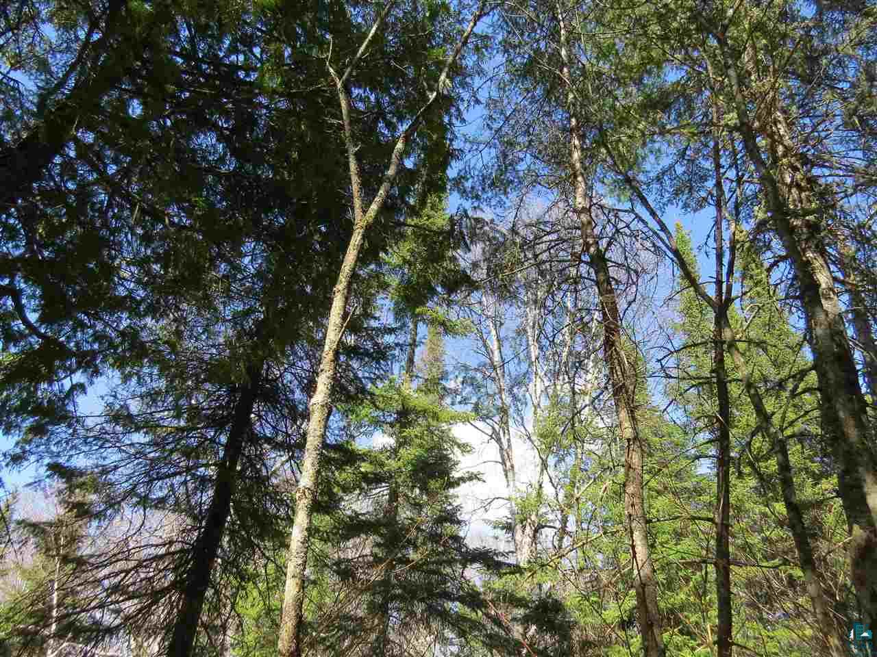 248 Ball Club Road Grand Marais, MN 55604 - Photo 12 of 14 Gallery Image 12