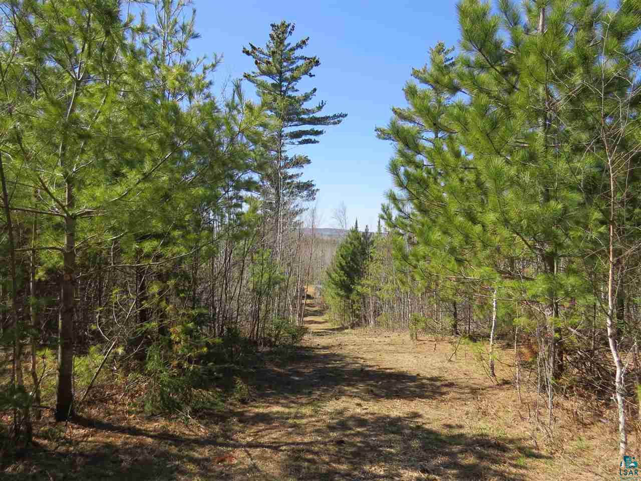 248 Ball Club Road Grand Marais, MN 55604 - Photo 13 of 14 Gallery Image 13