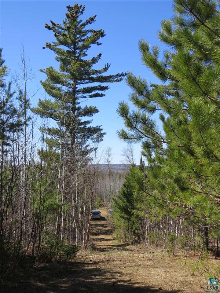 248 Ball Club Road Grand Marais, MN 55604 - Photo 14 of 14 Gallery Image 14