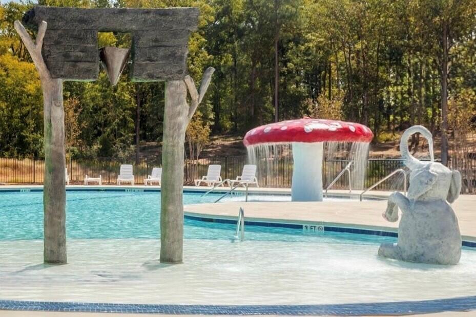 3114 Wayne Drive Grovetown, GA 30813 - Photo 50 of 55 CC pool 2
