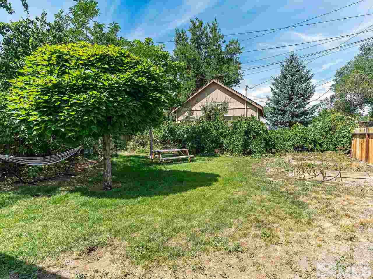 1441 Forest Street Reno, NV 89509 - Photo 12 of 15 a view of a backyard with large trees