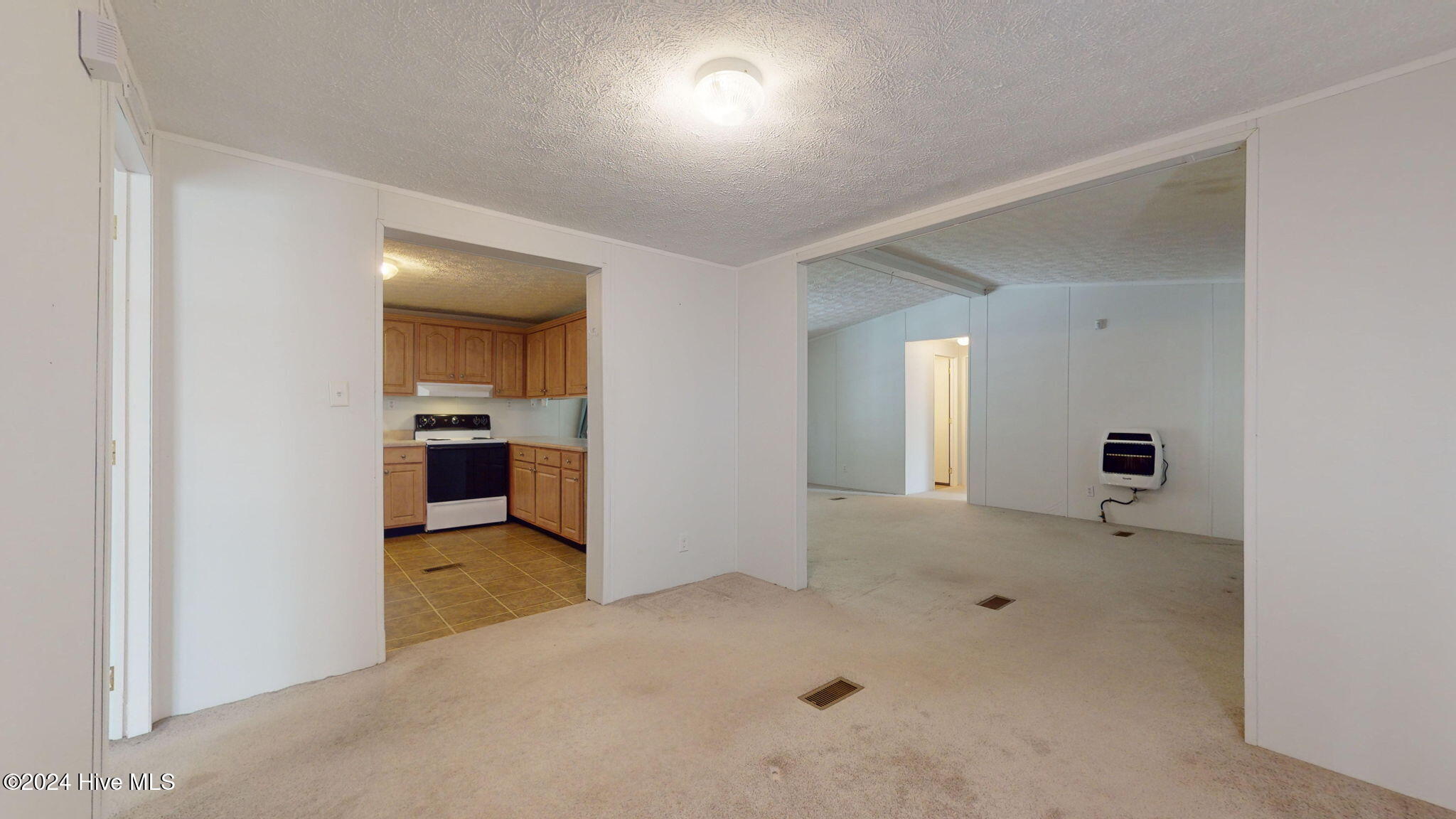 196 Green Road Trenton, NC 28585 - Photo 23 of 58 12-web-or-mls-196-Green-Rd-VTP-11012024_