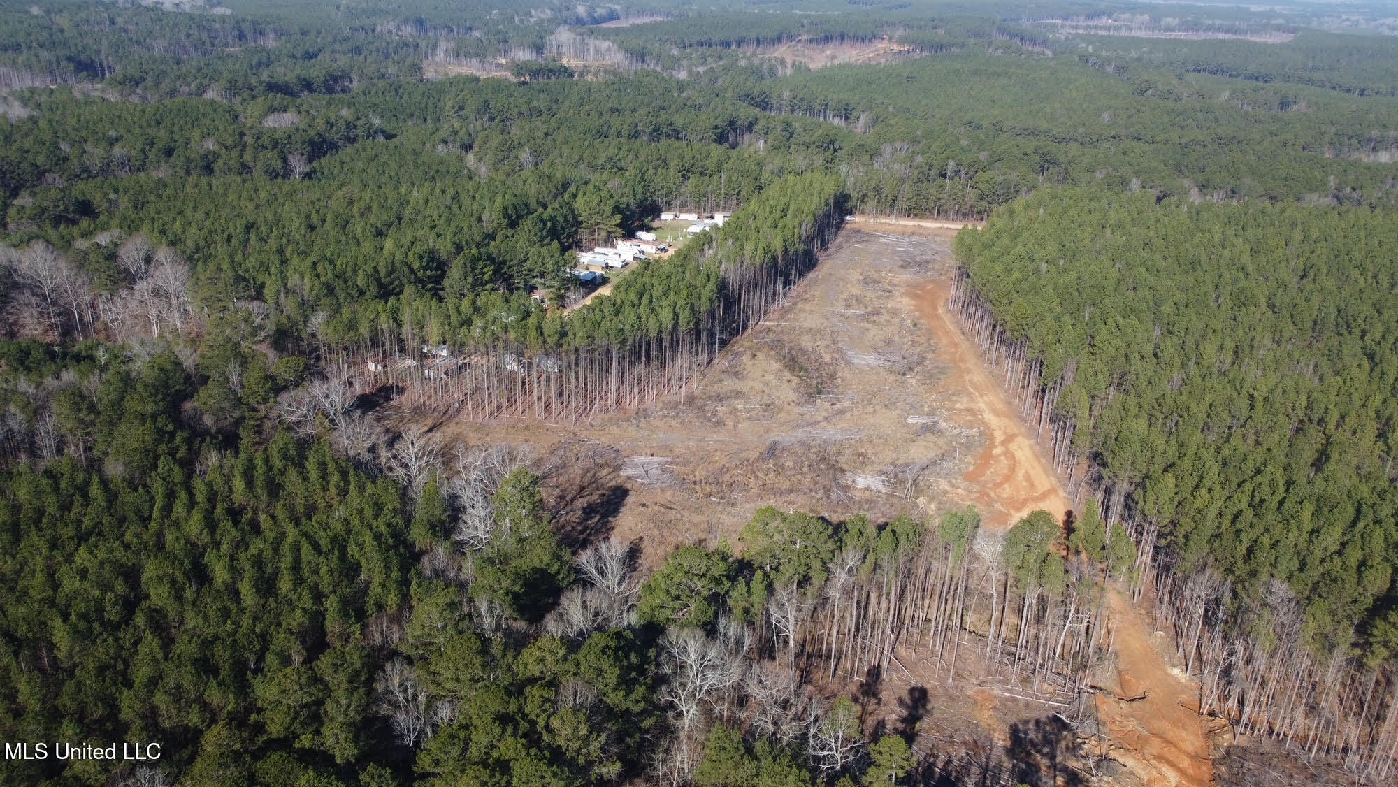 1 Old Pickens Road Kosciusko, MS 39090 - Photo 13 of 16 16