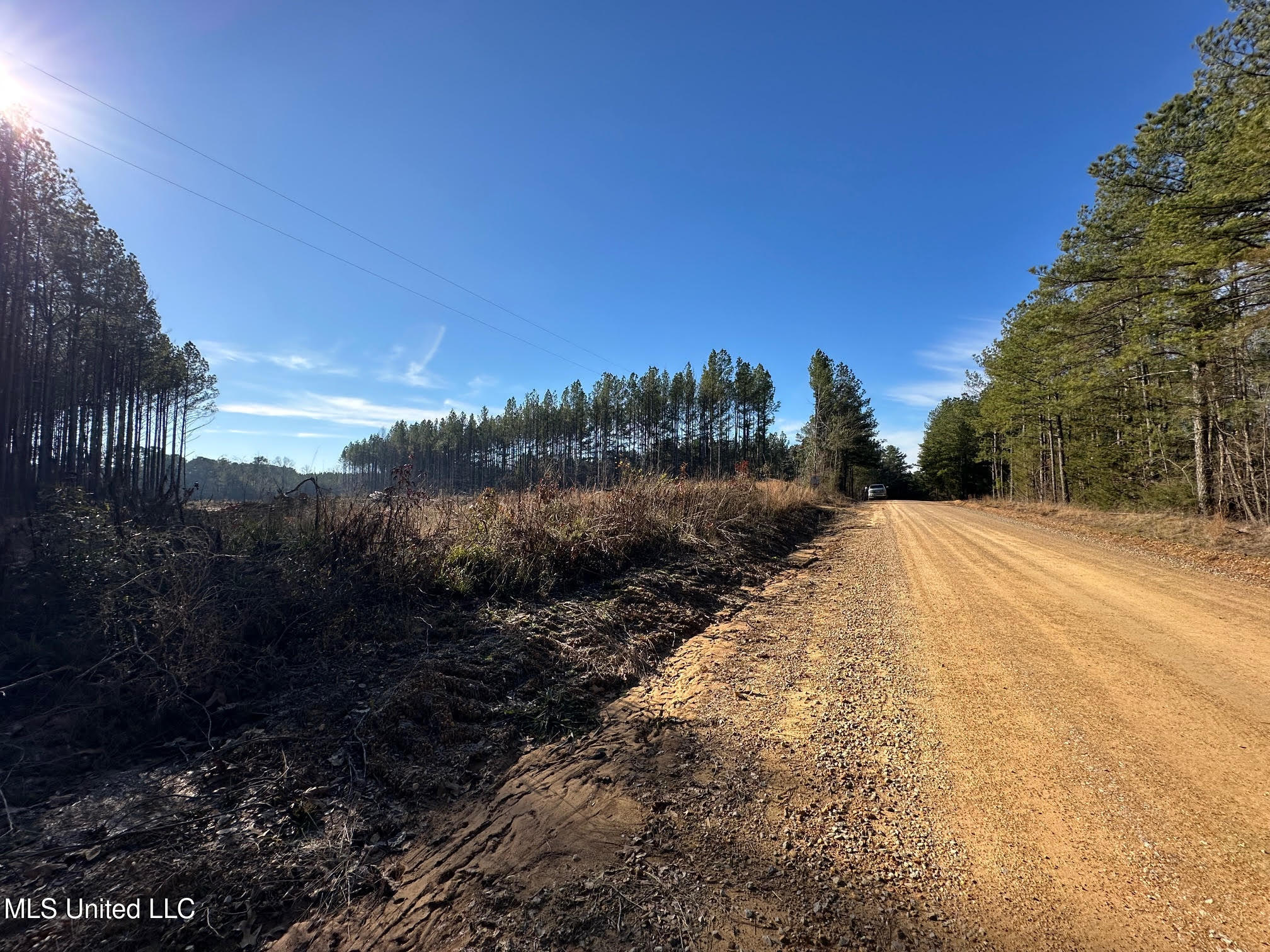 1 Old Pickens Road Kosciusko, MS 39090 - Photo 2 of 16 1
