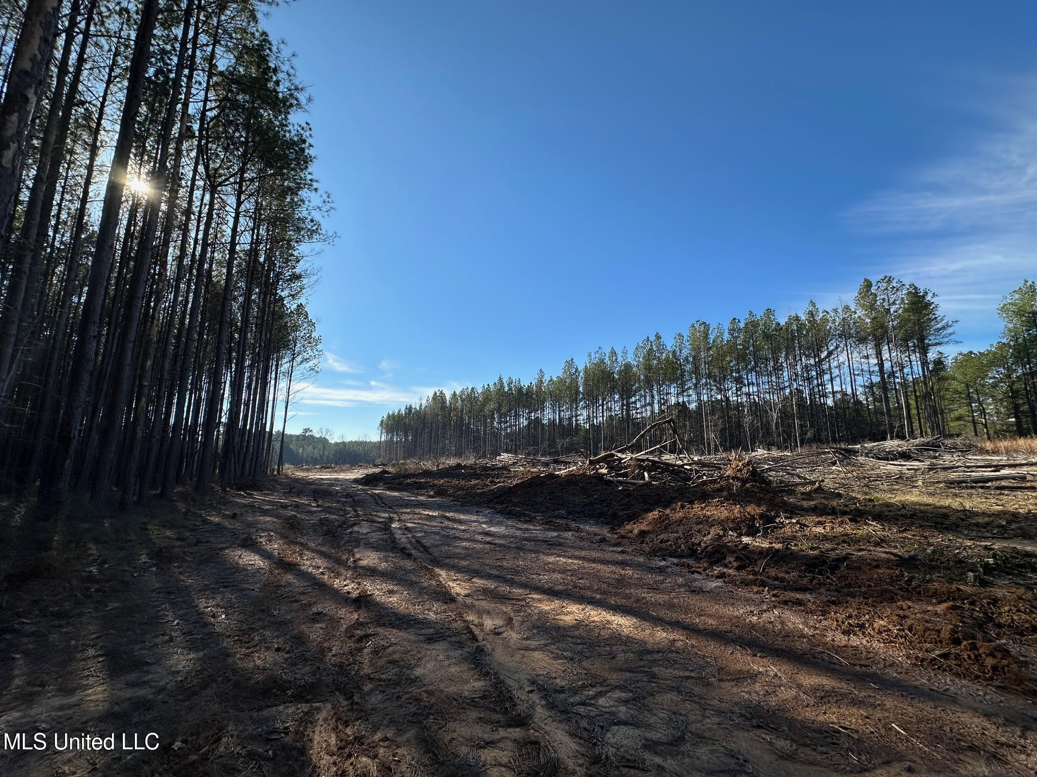 1 Old Pickens Road Kosciusko, MS 39090 - Photo 3 of 16 2