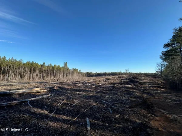 $48,000 | 1 Old Pickens Road, Kosciusko, MS 39090