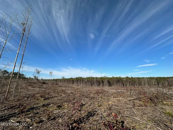 $48,000 | 1 Old Pickens Road, Kosciusko, MS 39090