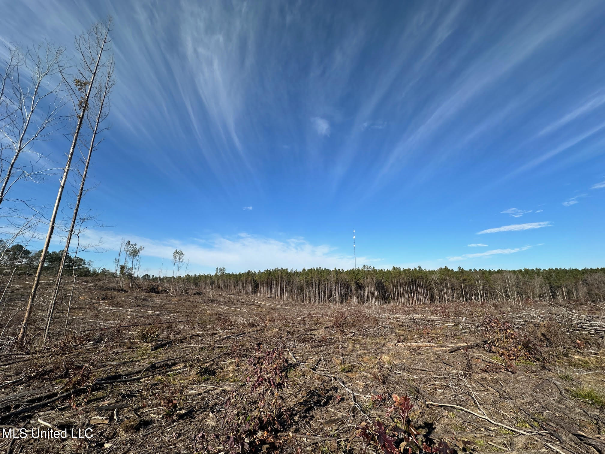 1 Old Pickens Road Kosciusko, MS 39090 - Photo 5 of 16 4