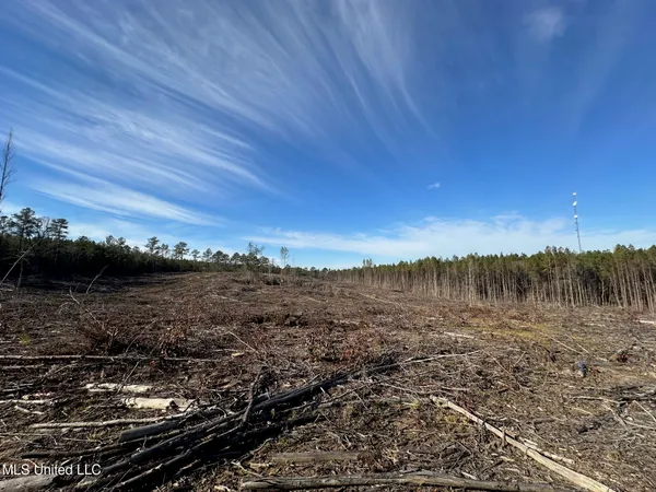 $48,000 | 1 Old Pickens Road, Kosciusko, MS 39090