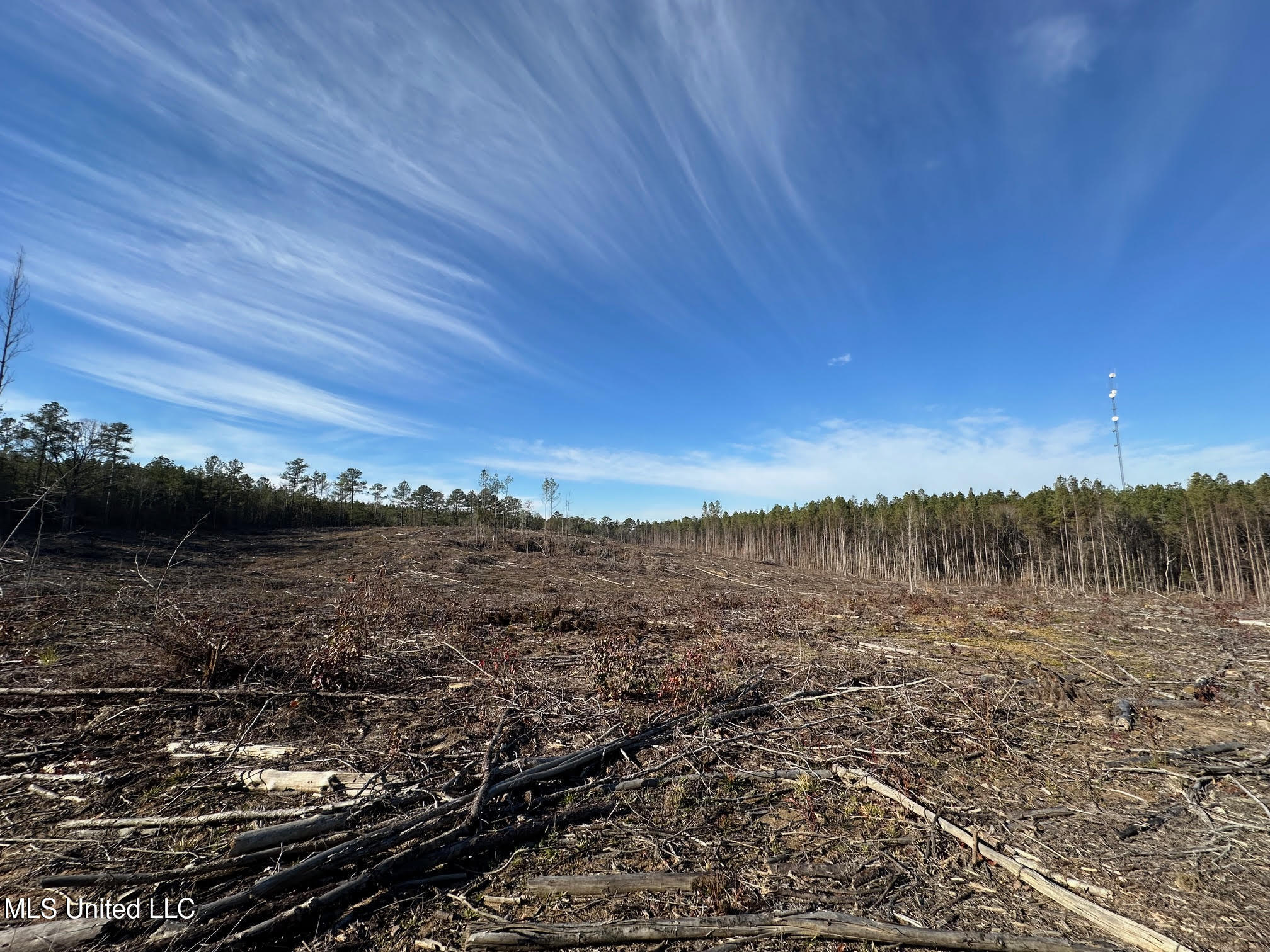 1 Old Pickens Road Kosciusko, MS 39090 - Photo 6 of 16 5