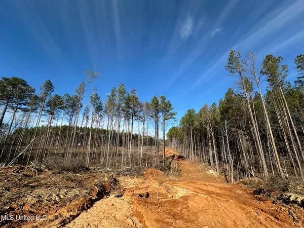 $48,000 | 1 Old Pickens Road, Kosciusko, MS 39090