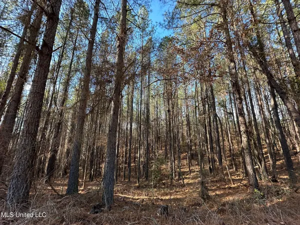 $48,000 | 1 Old Pickens Road, Kosciusko, MS 39090