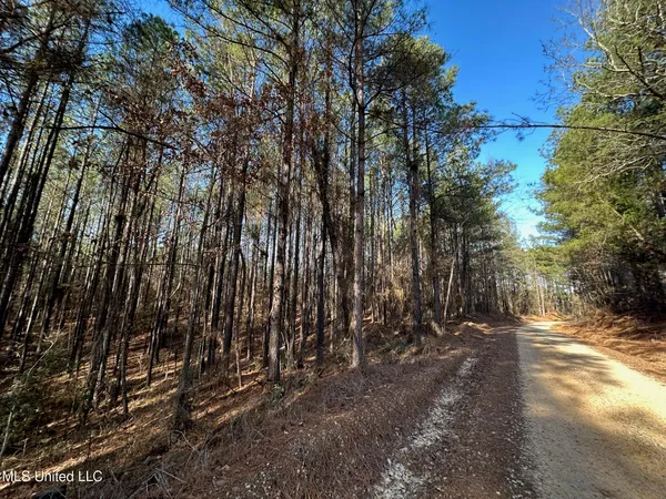 $48,000 | 1 Old Pickens Road, Kosciusko, MS 39090