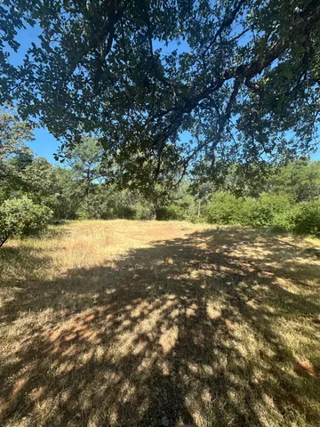 $55,000 | 17232 Golden Arrow Lane, Rackerby, CA 95972