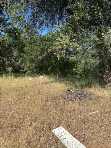 $55,000 | 17232 Golden Arrow Lane, Rackerby, CA 95972