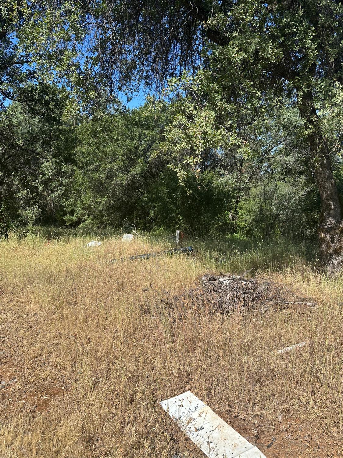 17232 Golden Arrow Lane Rackerby, CA 95972 - Photo 3 of 4