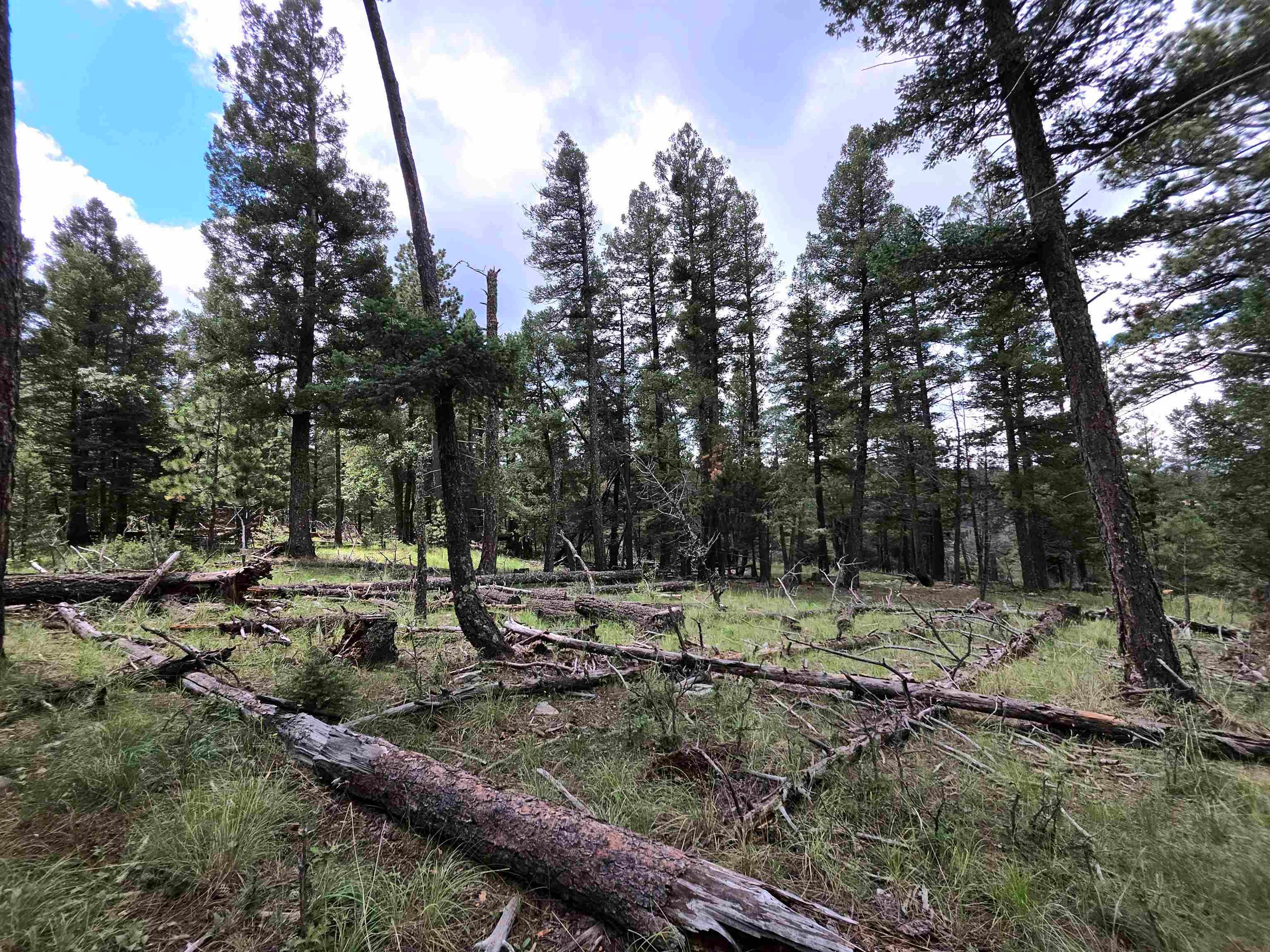 Lot 58 Big Dipper Road Mayhill, NM 88339 - Photo 14 of 50 Gallery Image 14
