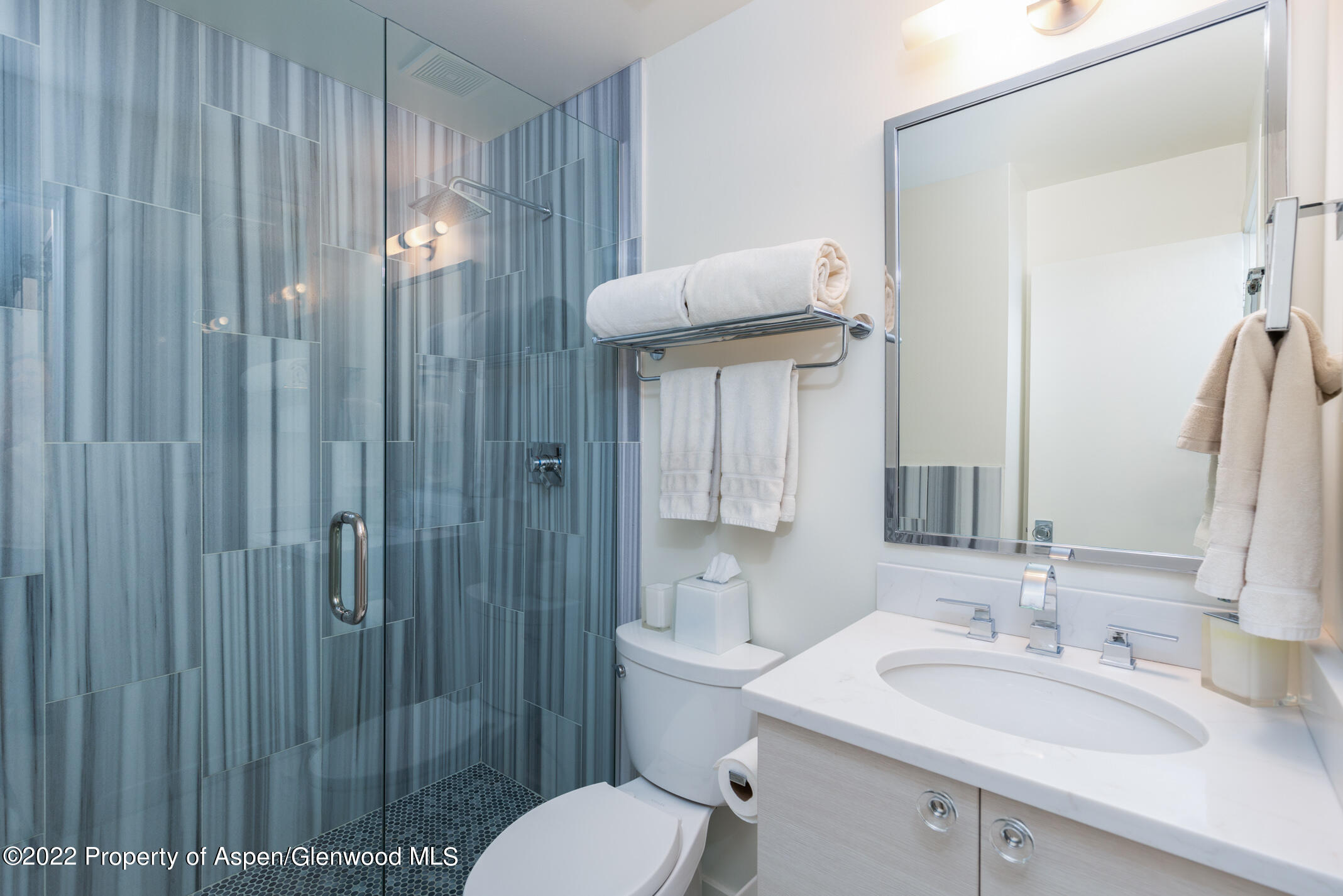 124 East Durant Avenue, Unit 2 Aspen, CO 81611 - Photo 13 of 15 a bathroom with a toilet a sink a mirror and vanity