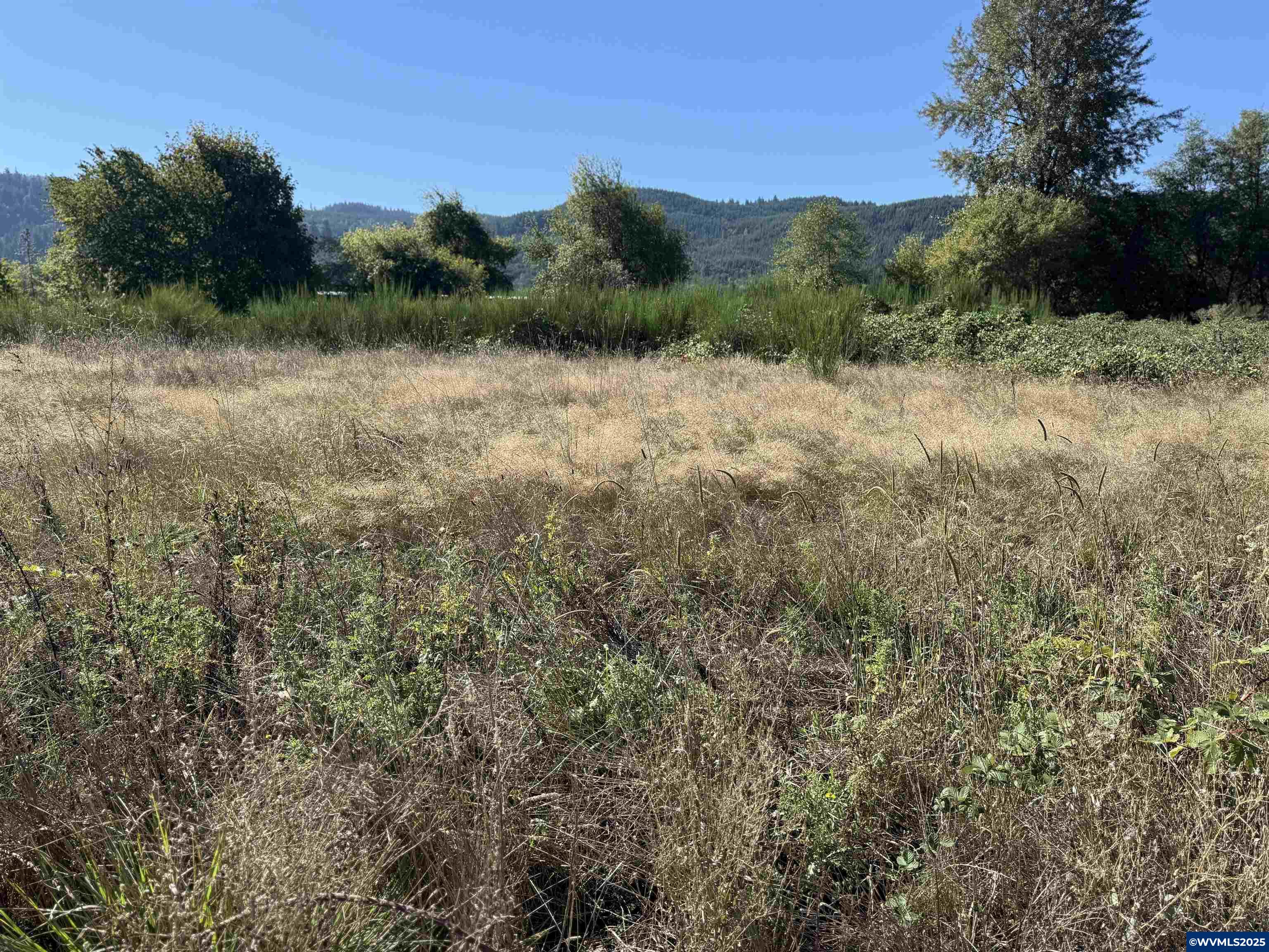 179 19th Street Lyons, OR 97358 - Photo 6 of 9