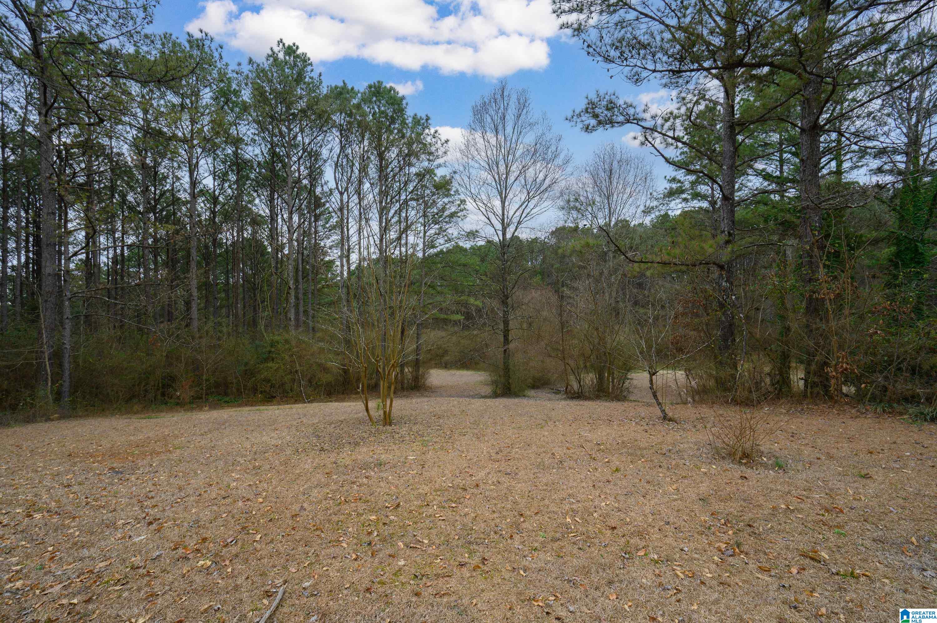 355 Whitlow Road Sumiton, AL 35148 - Photo 48 of 58