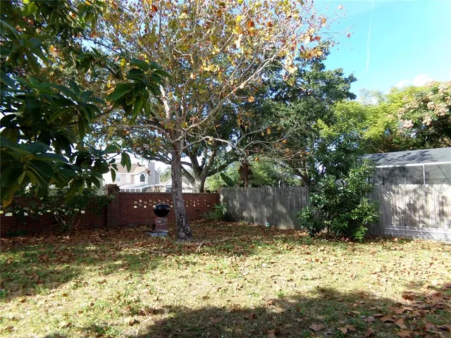 a view of backyard with tree