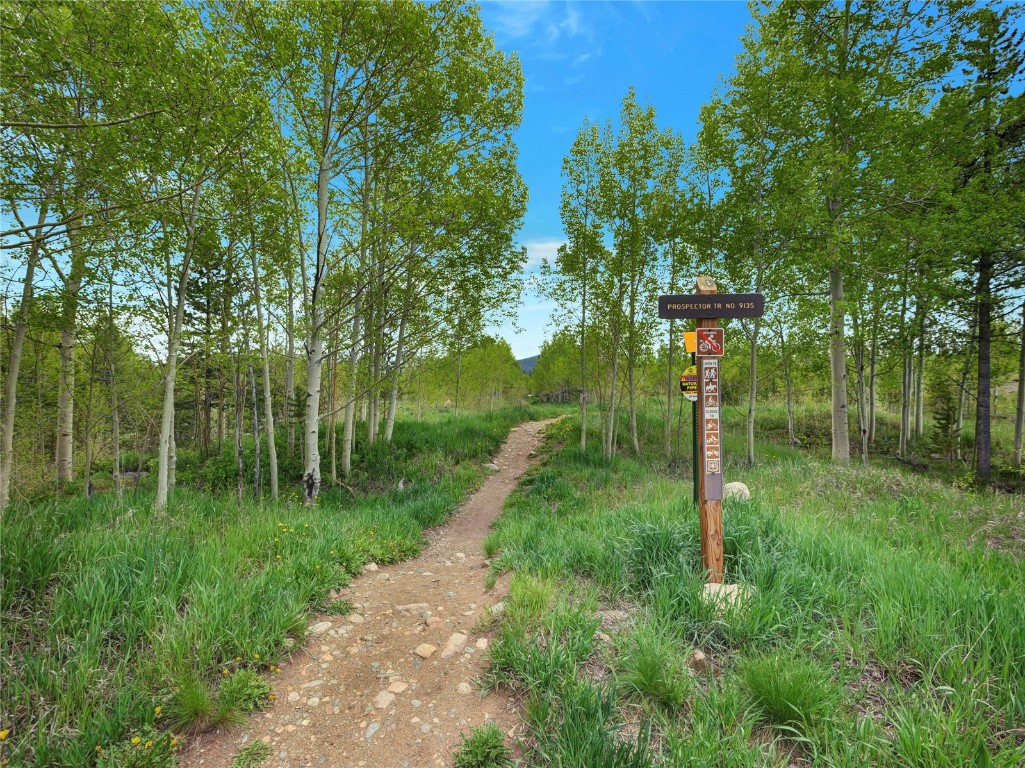 3710 Ryan Gulch Road, Unit 3710 Silverthorne, CO 80498 - Photo 46 of 50 a green field with lots of palm trees