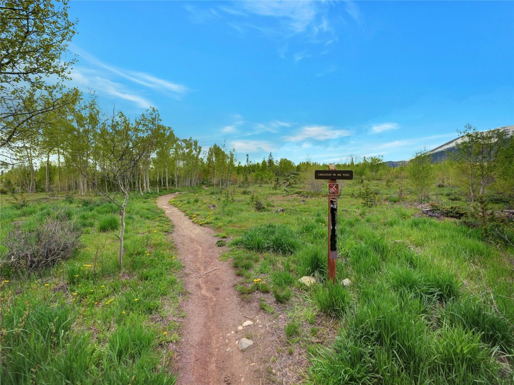 3710 Ryan Gulch Road, Unit 3710 Silverthorne, CO 80498 - Photo 47 of 50 a view of a city with lush green forest