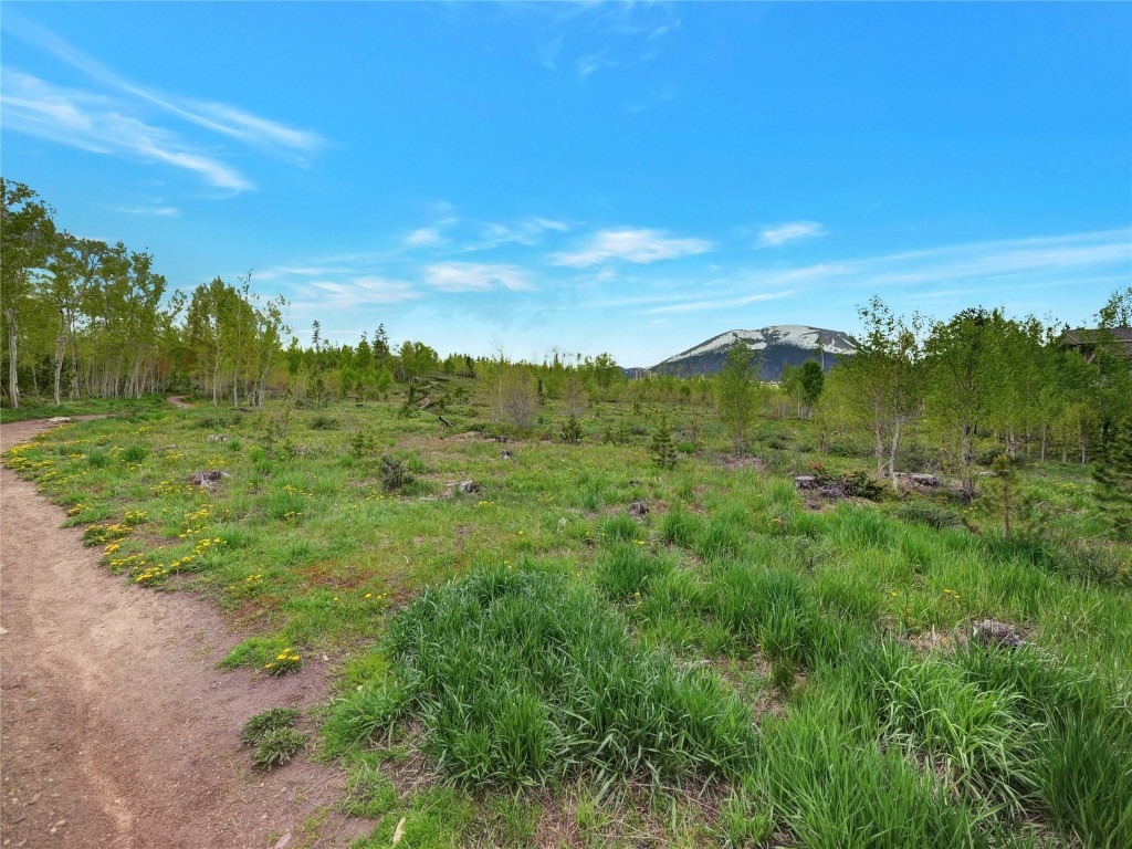 3710 Ryan Gulch Road, Unit 3710 Silverthorne, CO 80498 - Photo 48 of 50 a view of a city with lush green forest