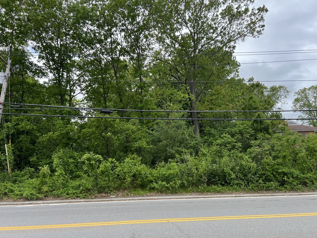 0 Thompson Road Webster, MA 01570 - Photo 1 of 3 a backyard of a house with lots of green space