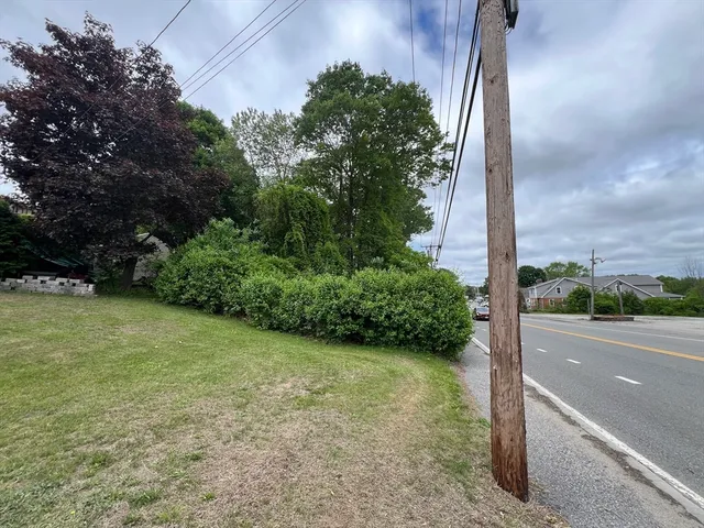 a view of a street with a tree
