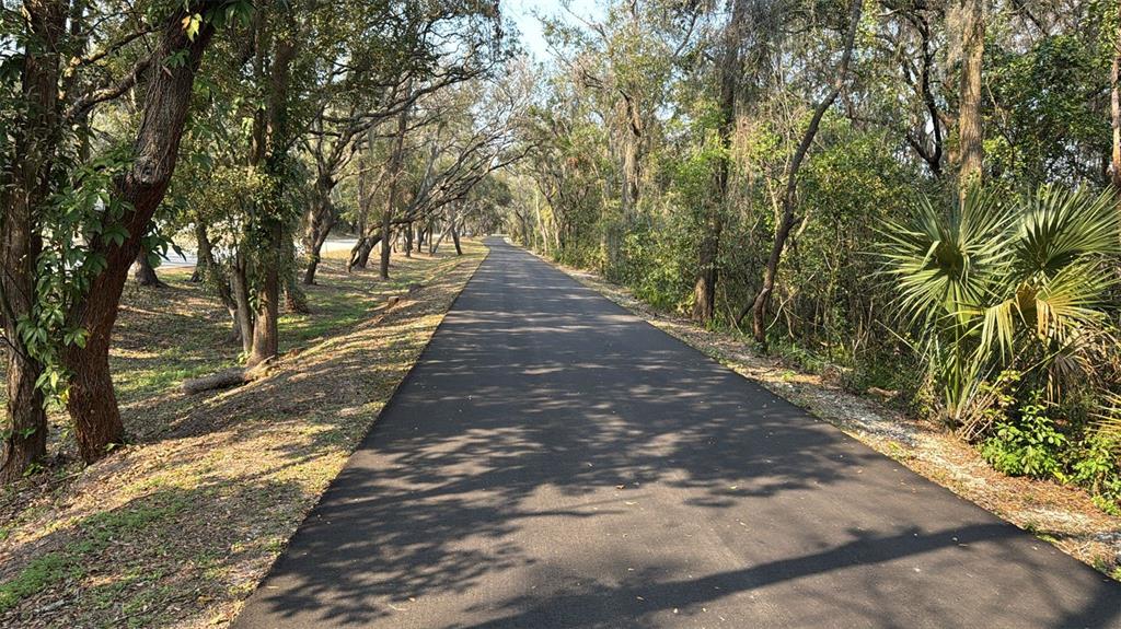 1928 Old Apopka Road Apopka, FL 32703 - Photo 11 of 11