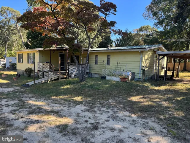 a view of a backyard with plants and a large tree