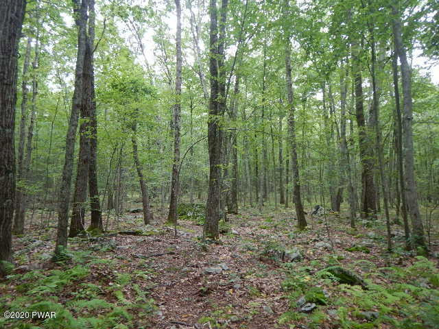 922 Silver Lake Road Dingmans Ferry, PA 18328 - Photo 11 of 20 DSCN1577