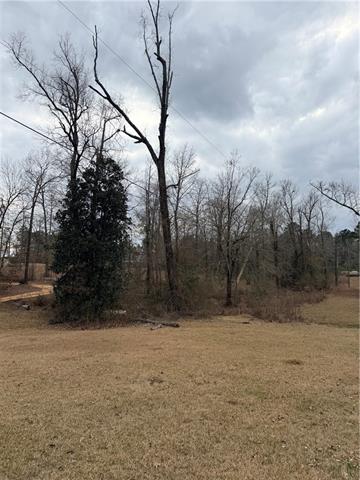 0 Edmonds Road Pollock, LA 71467 - Photo 2 of 3