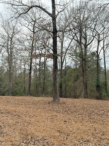 0 Edmonds Road Pollock, LA 71467 - Photo 3 of 3