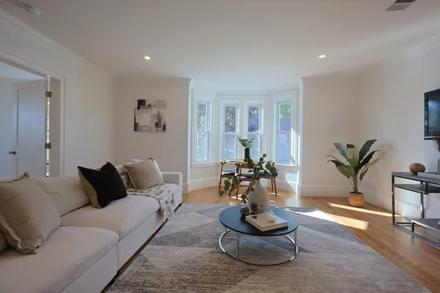 a living room with furniture and a potted plant
